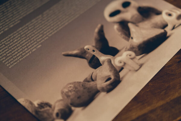 255003176 4888713724475099 3697619107088735943 n