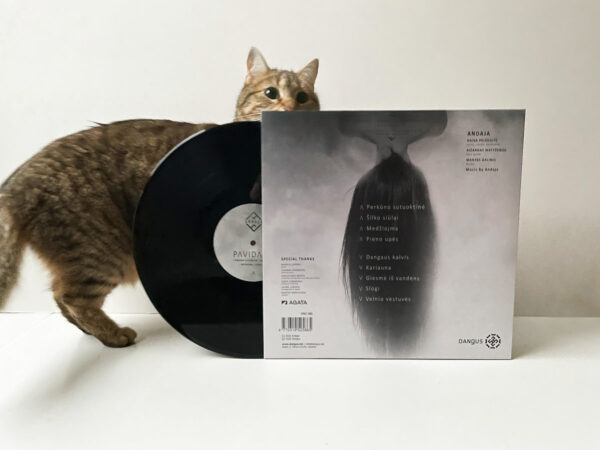 Andaja pavidalai lp back