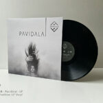 Andaja pavidalai lp front