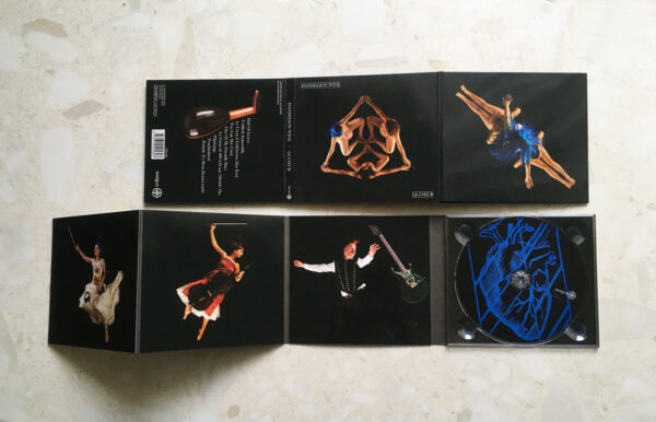 Dandelion wine le coeur cd digipak